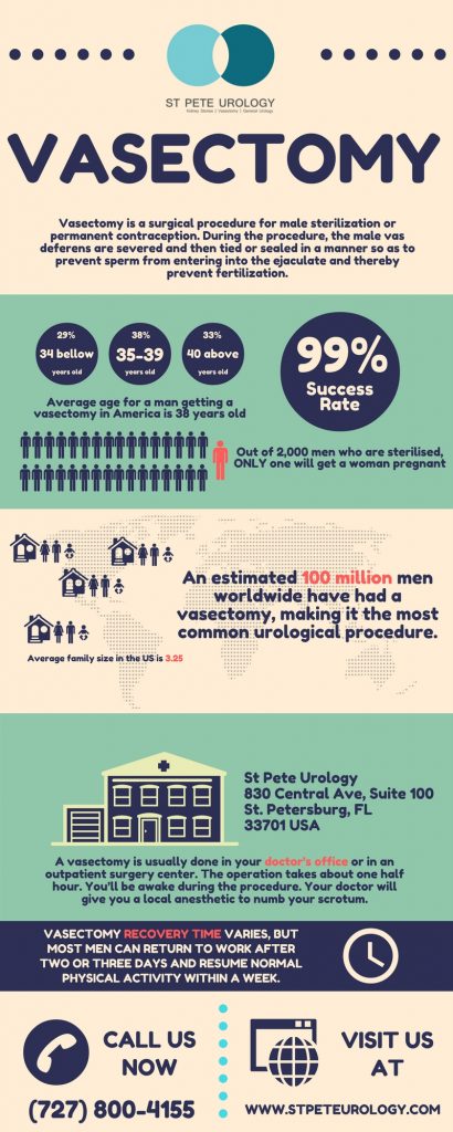 Vasectomy Infographics