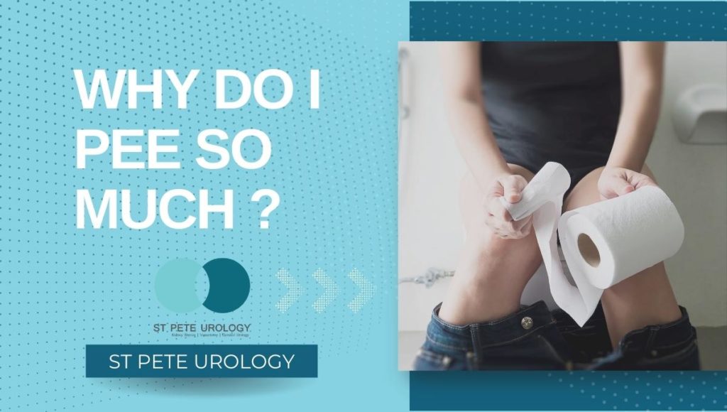 why-do-i-pee-so-much-st-pete-urology