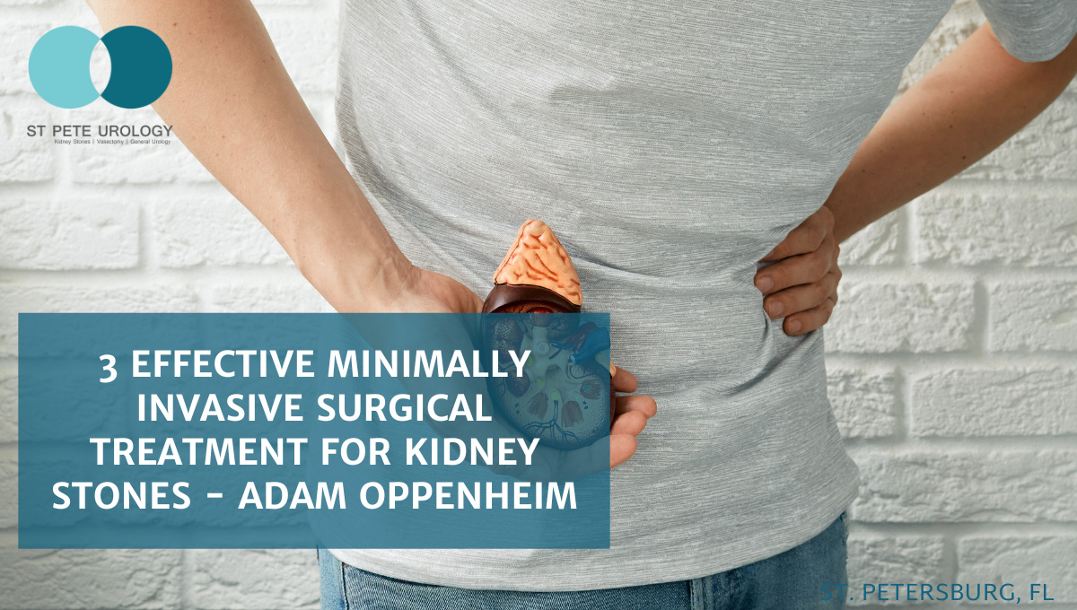 3 Effective Minimally Invasive Surgical Treatment For Kidney Stones - Adam Oppenheim
