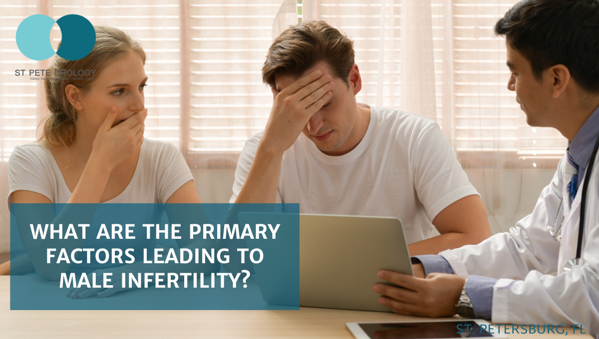 What are the Primary Factors Leading to Male Infertility