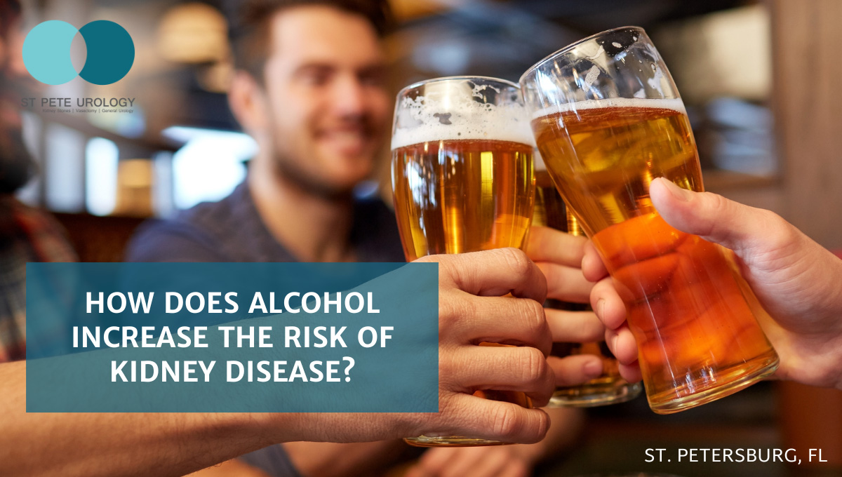 How does Alcohol Increase the Risk of Kidney Disease?