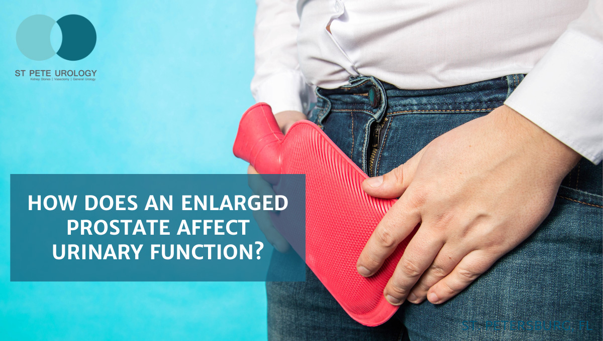 How Does an Enlarged Prostate Affect Urinary Function?