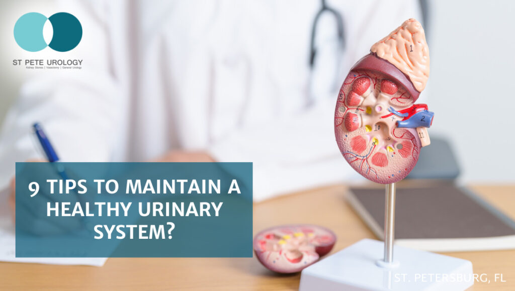 9 Tips to Maintain a Healthy Urinary System? St Pete Urology